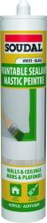 Paintable Sealant