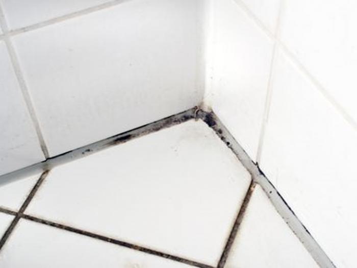 Mould Growth